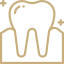 tooth